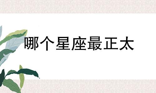 哪个星座最正太