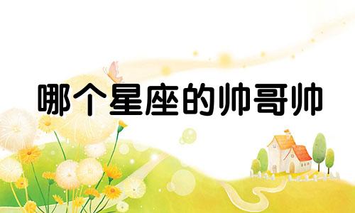 哪个星座的帅哥帅