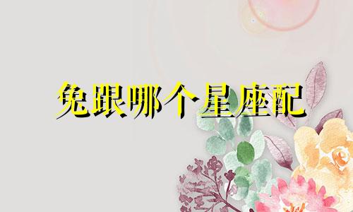 兔跟哪个星座配