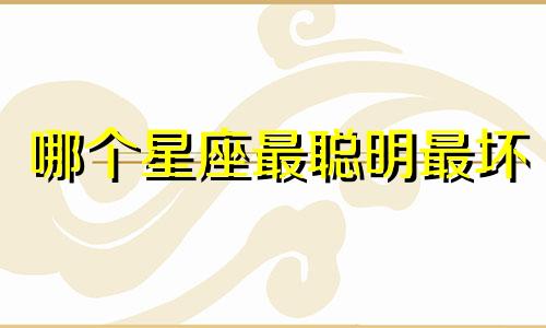 哪个星座最聪明最坏