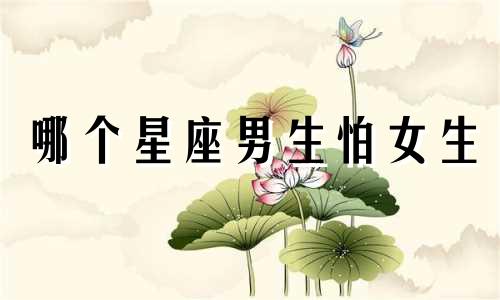 哪个星座男生怕女生