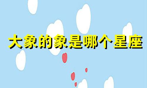 大象的象是哪个星座