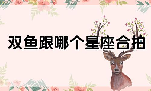 双鱼跟哪个星座合拍