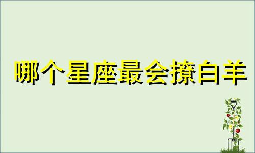哪个星座最会撩白羊