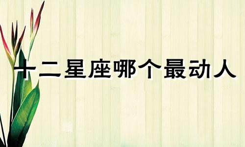 十二星座哪个最动人