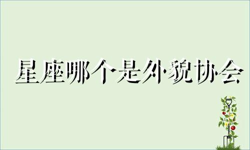 星座哪个是外貌协会