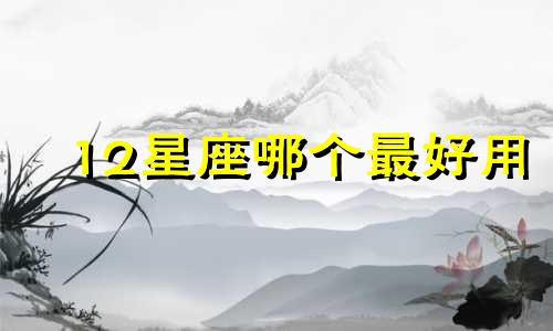 12星座哪个最好用