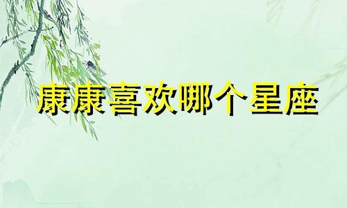 康康喜欢哪个星座