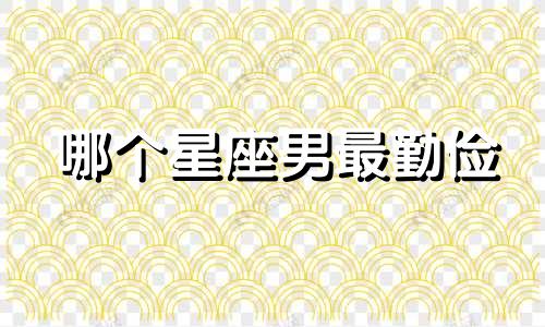 哪个星座男最勤俭