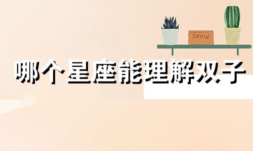哪个星座能理解双子