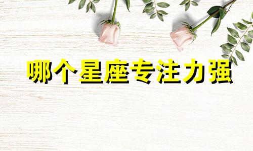 哪个星座专注力强