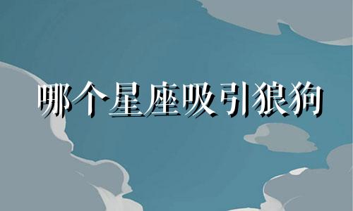 哪个星座吸引狼狗