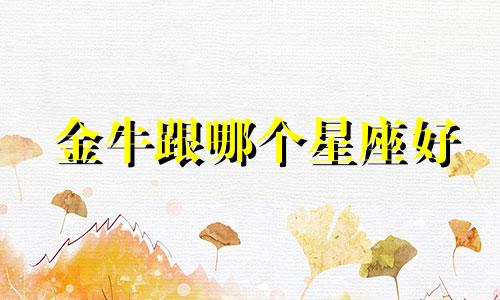 金牛跟哪个星座好