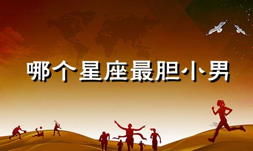 哪个星座最胆小男