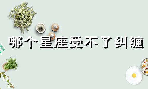 哪个星座受不了纠缠