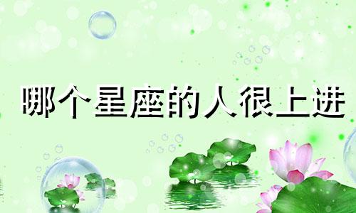 哪个星座的人很上进