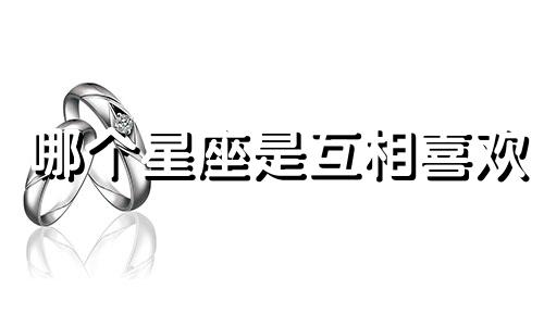 哪个星座是互相喜欢