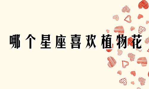 哪个星座喜欢植物花
