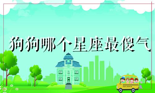狗狗哪个星座最傻气