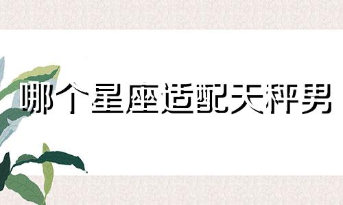 哪个星座适配天秤男