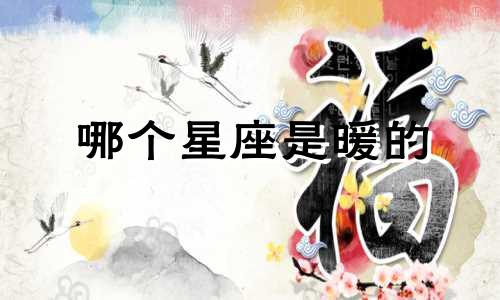 哪个星座是暖的