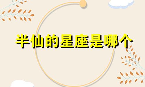 半仙的星座是哪个