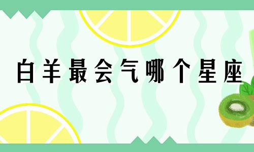 白羊最会气哪个星座