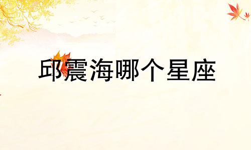 邱震海哪个星座