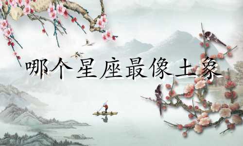 哪个星座最像土象