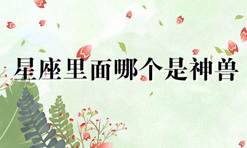 星座里面哪个是神兽