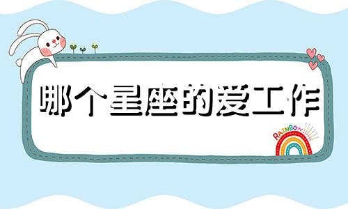 哪个星座的爱工作