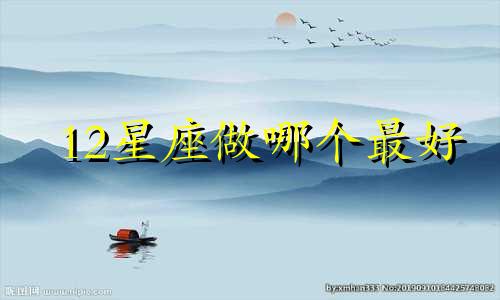 12星座做哪个最好