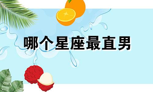 哪个星座最直男