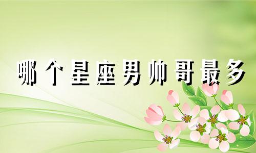 哪个星座男帅哥最多