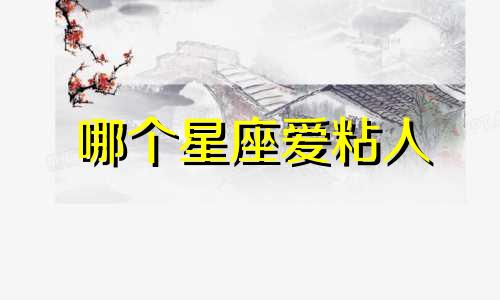 哪个星座爱粘人