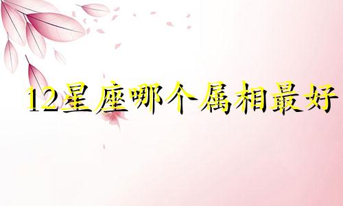 12星座哪个属相最好