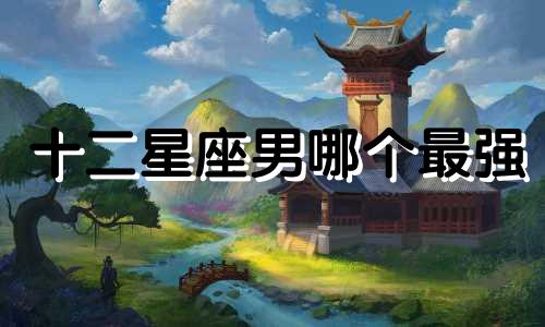 十二星座男哪个最强