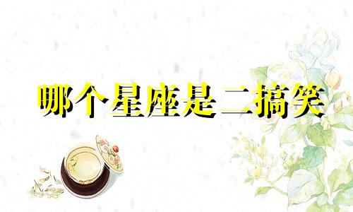 哪个星座是二搞笑
