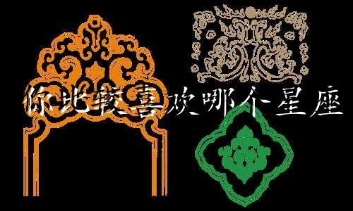 你比较喜欢哪个星座