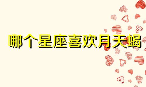哪个星座喜欢月天蝎