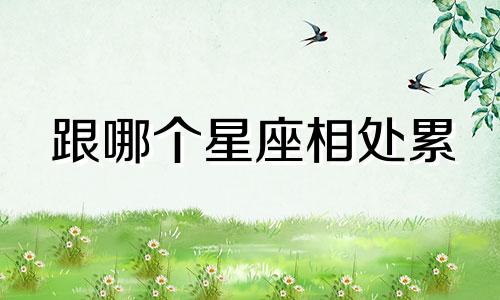 跟哪个星座相处累