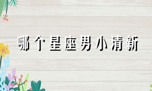 哪个星座男小清新