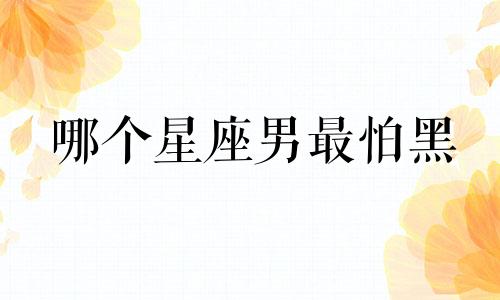 哪个星座男最怕黑