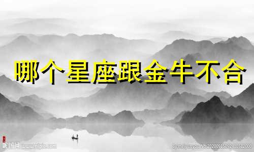 哪个星座跟金牛不合