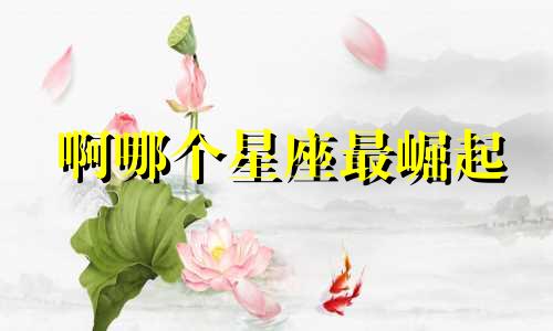 啊哪个星座最崛起