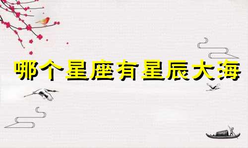 哪个星座有星辰大海