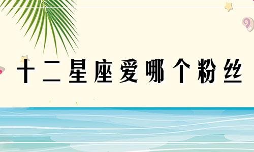 十二星座爱哪个粉丝
