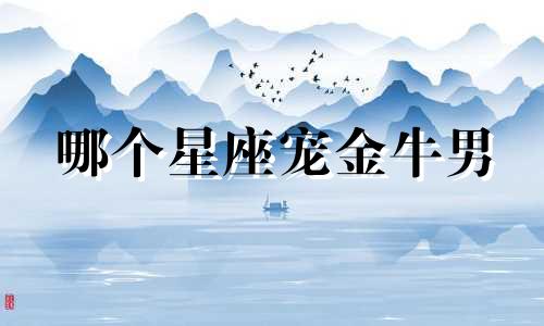 哪个星座宠金牛男