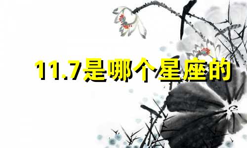 11.7是哪个星座的