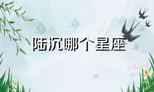 陆沉哪个星座